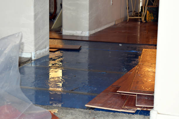 Professional Sewage Cleanup technician working in Muenster, TX